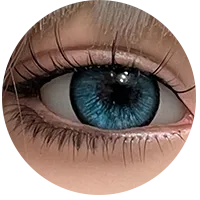 13.webp